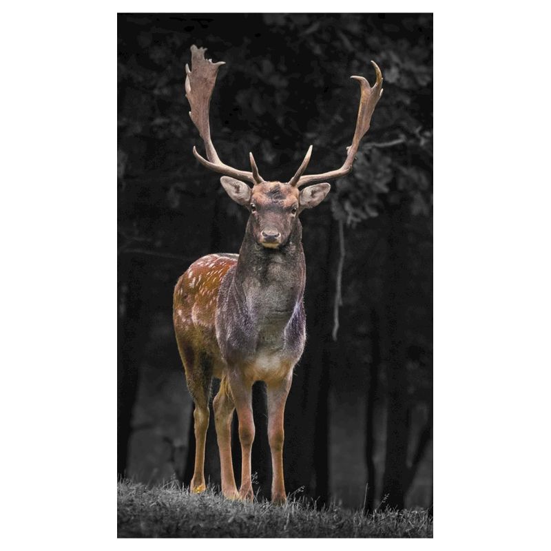 Hirsch