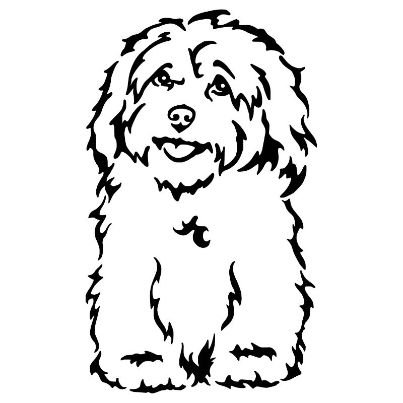 Havanese