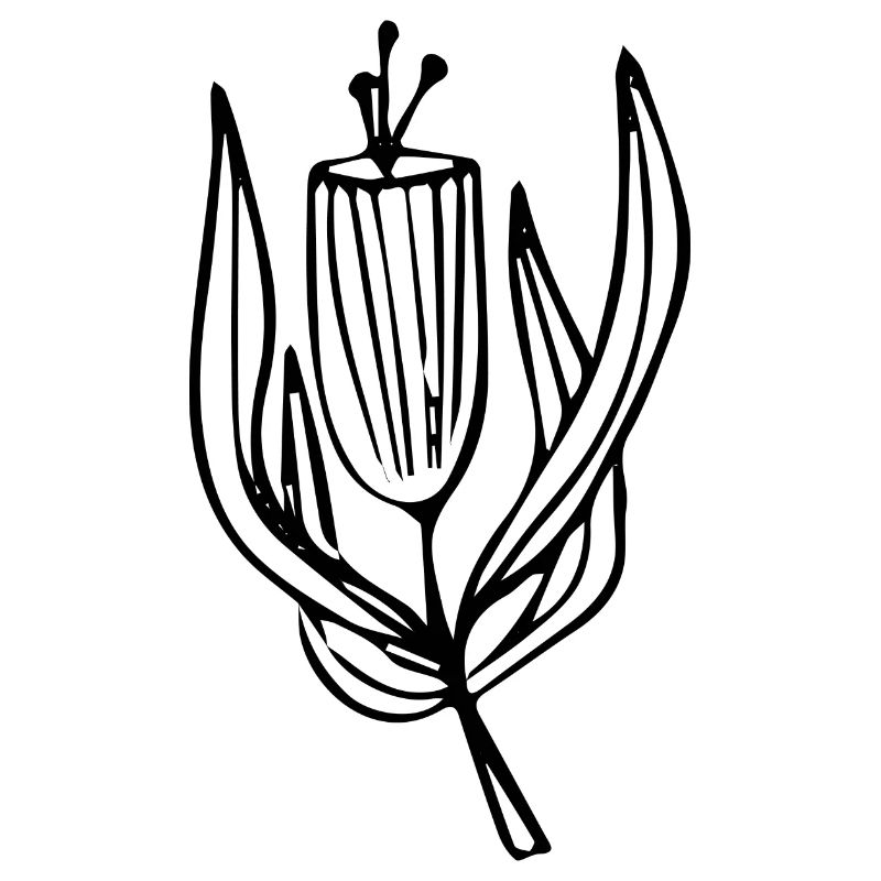 Flower Blume Pflanze