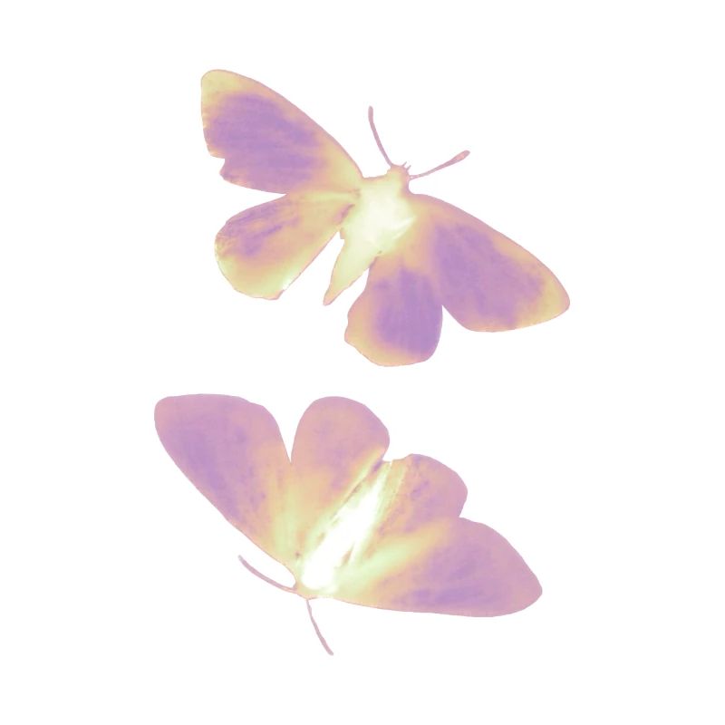Schmetterling gelb/rosa