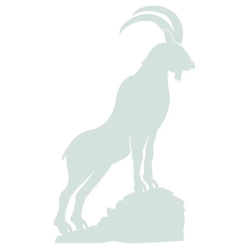 steinbock 01