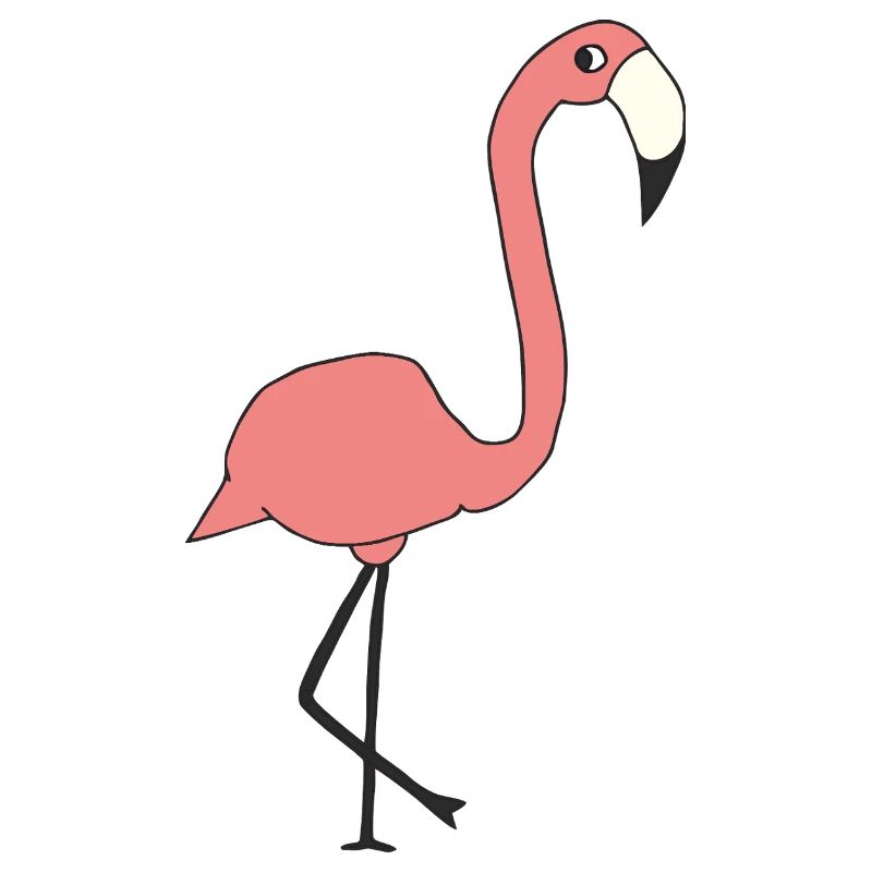 flamingo
