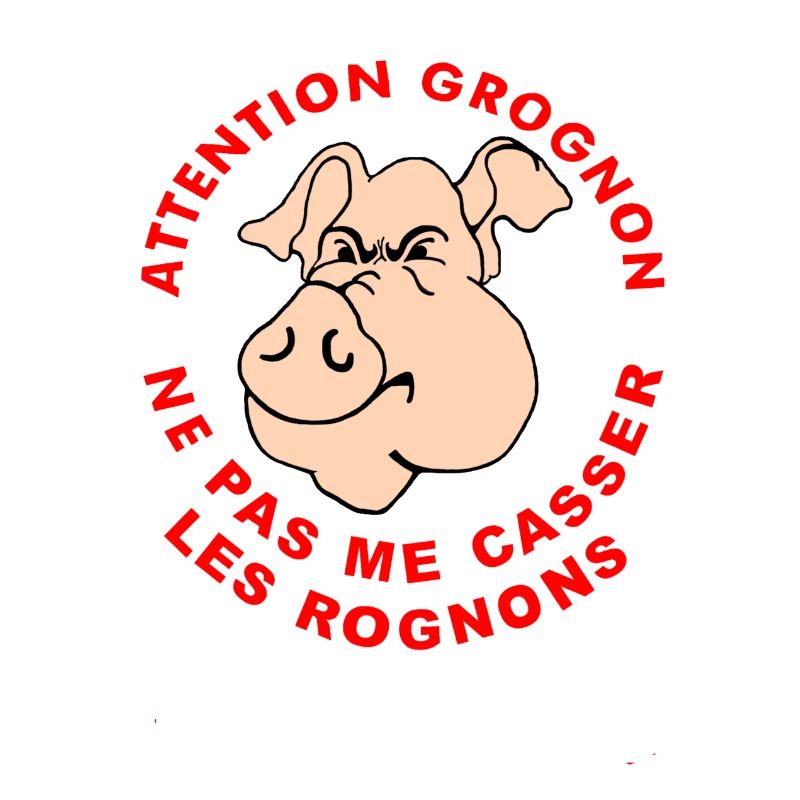 SCHWEIN