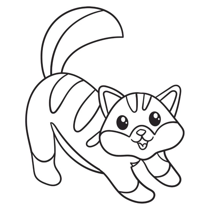 Katze, Kätzchen, süß, Geschenk, Geschenkidee