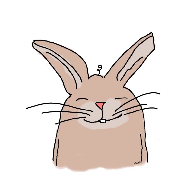 Hilde Rabbit Comic Style