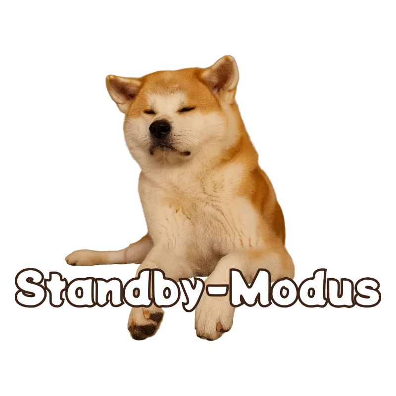 Akita im Standby-Modus
