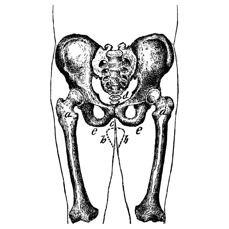 14761366331_497b85442e_o-01.png