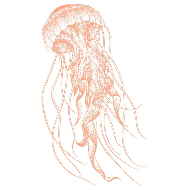 Conception de méduses