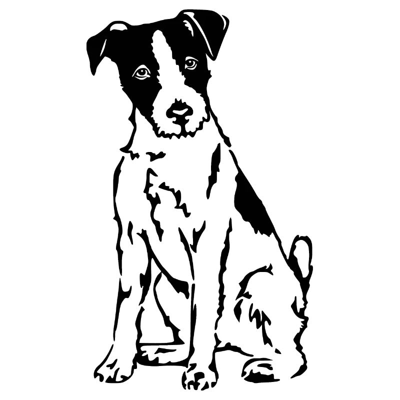 Russell Terrier