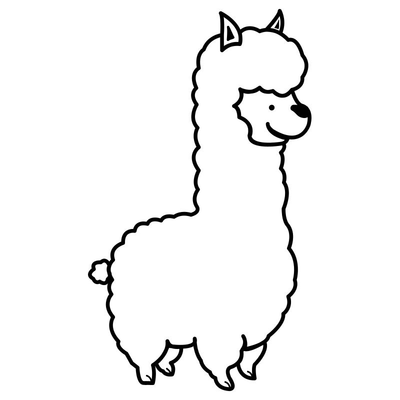 Alpaca