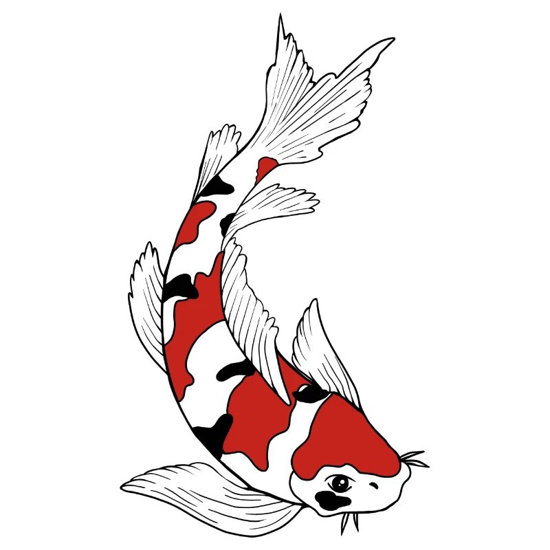 Koi Carp