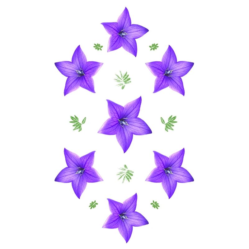 lila Blume - Glockenblume