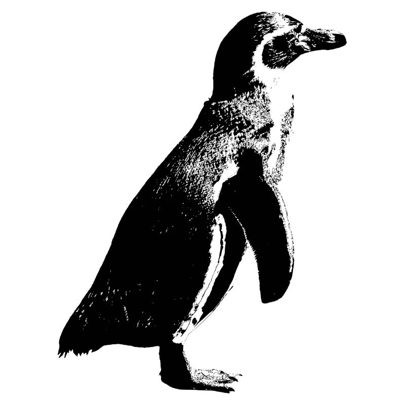 Pinguin