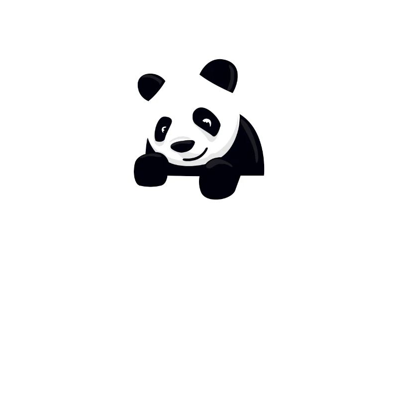 Panda dans le sac cadeau