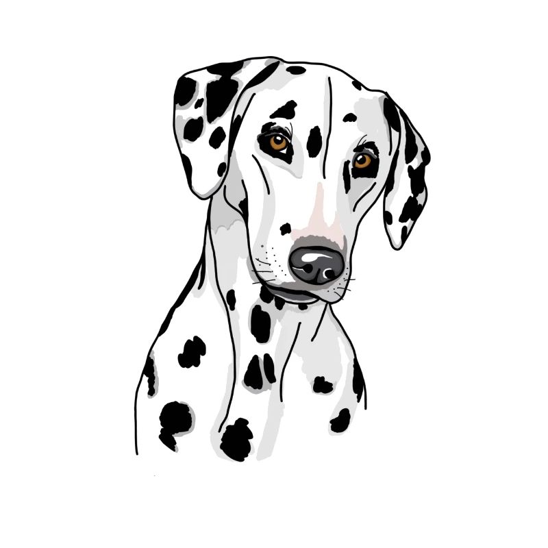 Dalmatiner