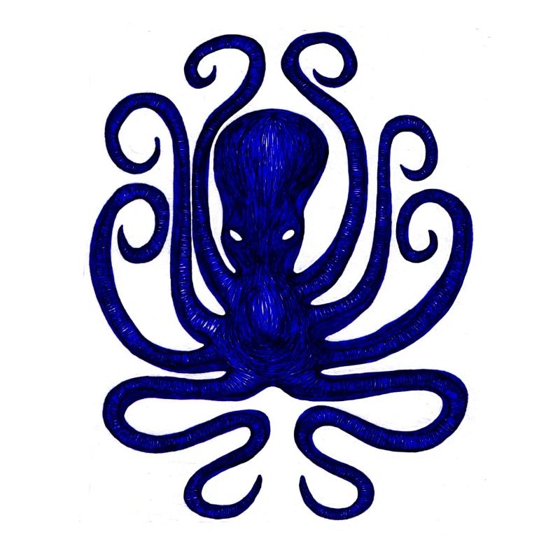 Tintenfisch - Oktopus