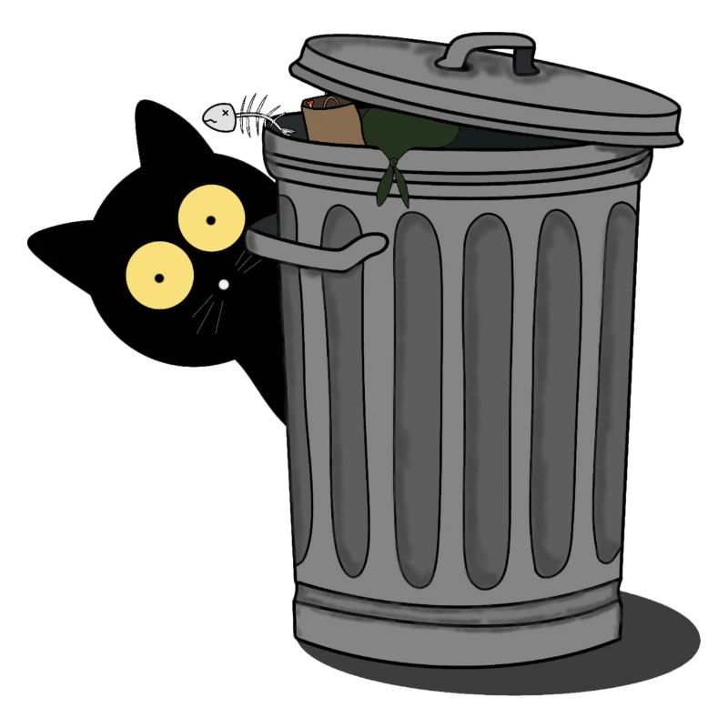 Schwarze Katze beobachtet