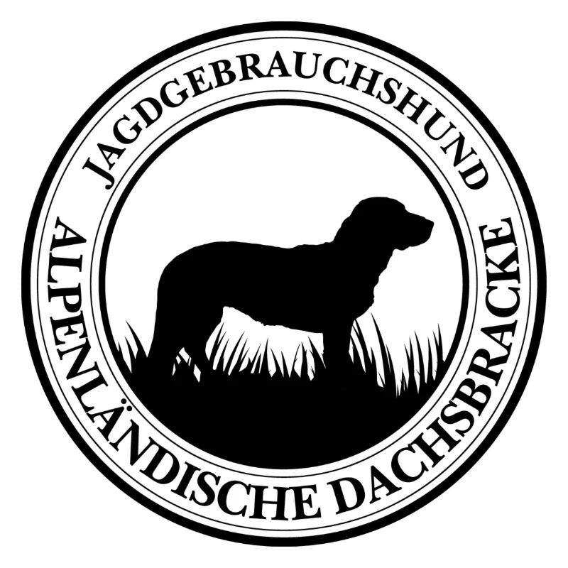 Alpenländische Dachsbracke Jagdgebrauchshund