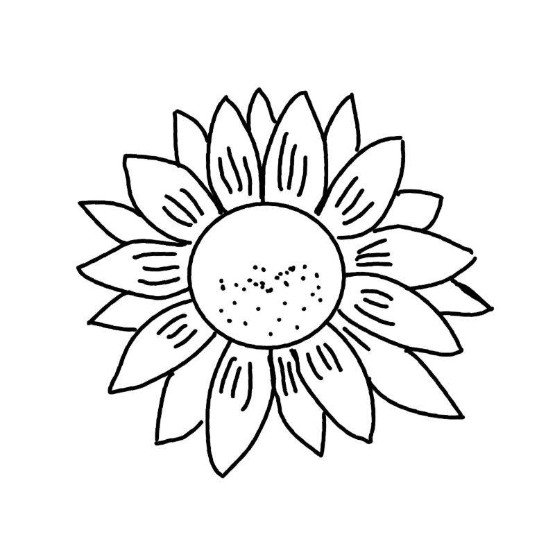 Sonnenblume!