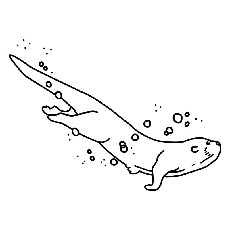Otter diving