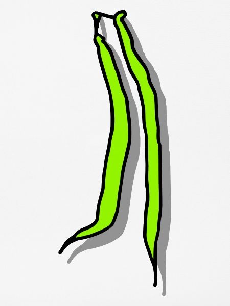 Beans