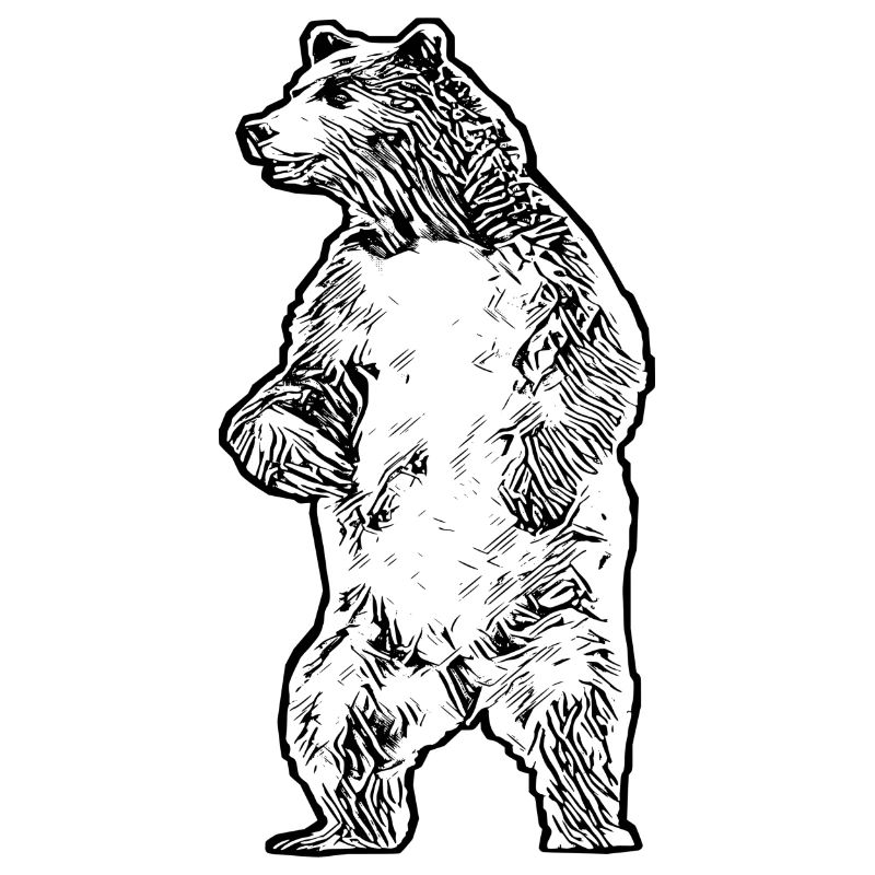 Bär