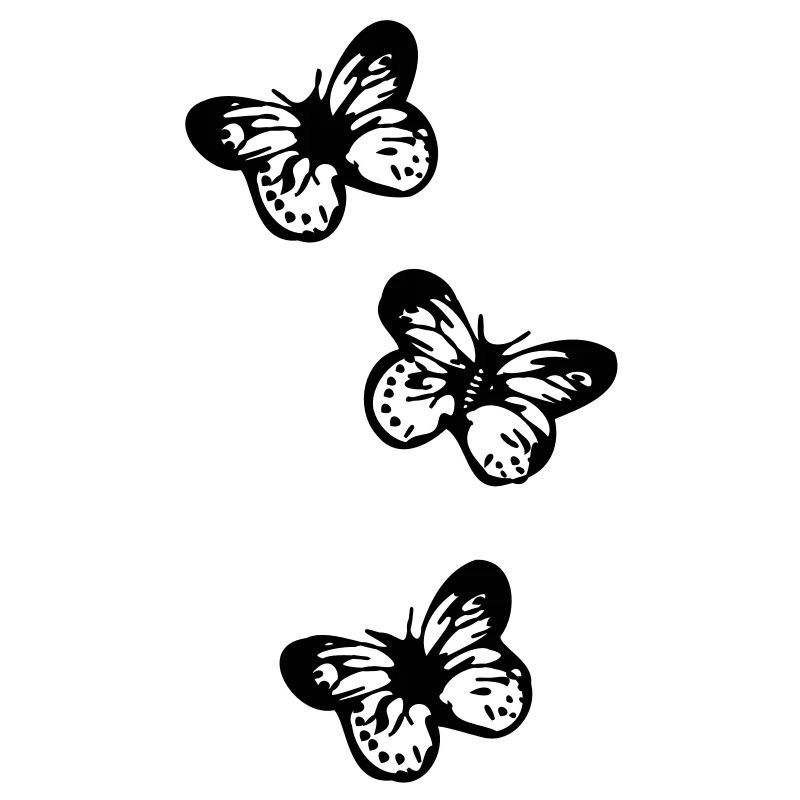 falter schmetterling