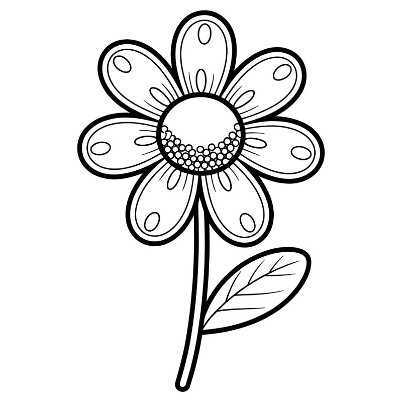 Gänseblümchen