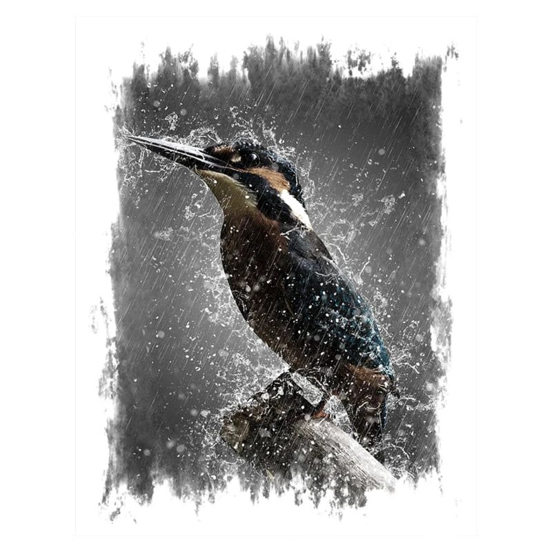 Vogel im Regen