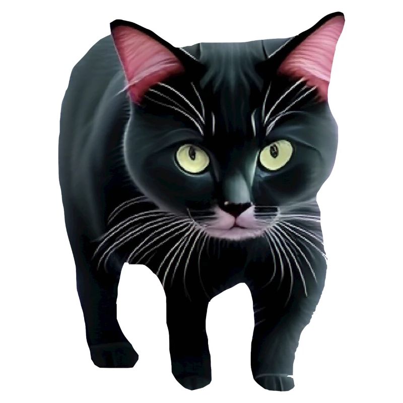 puss