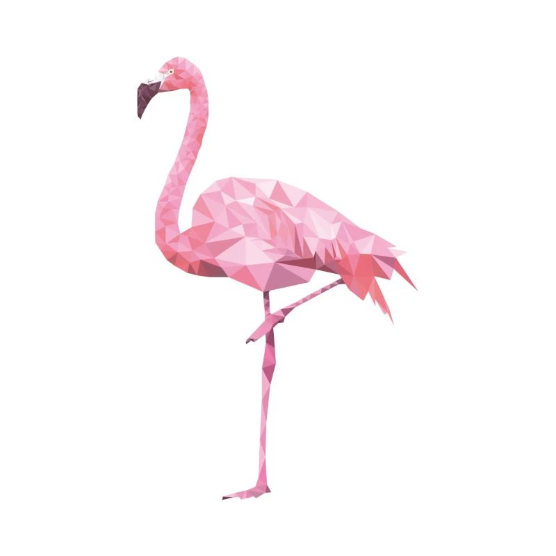 Flamingo-shirt