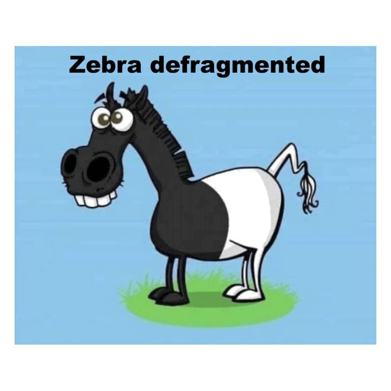 Zebra defragmented