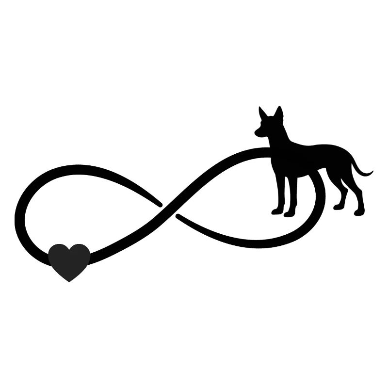 Xoloitzcuintle Unendlichkeit 