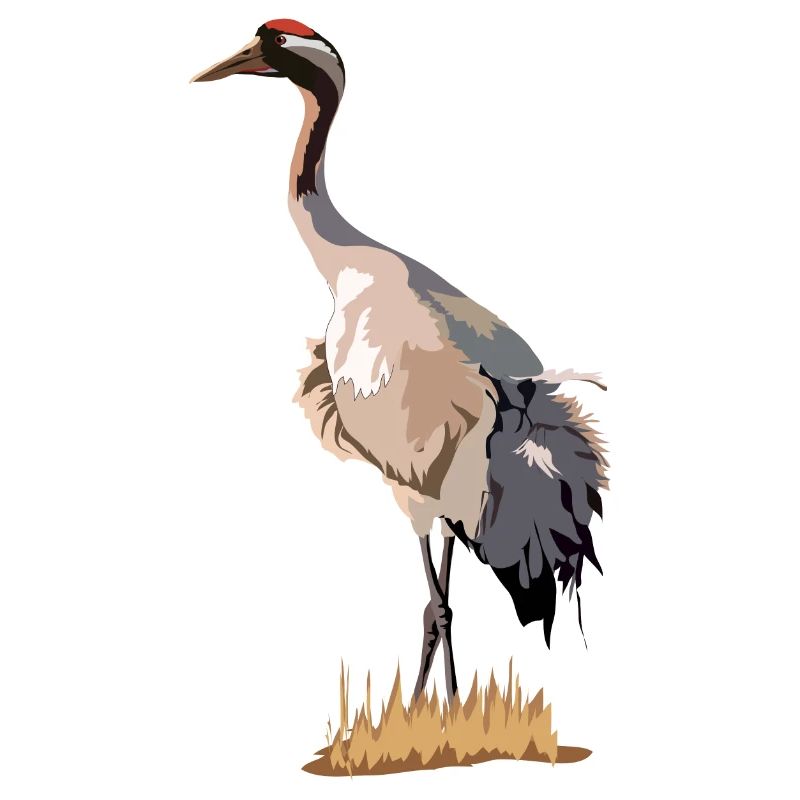 Kranich