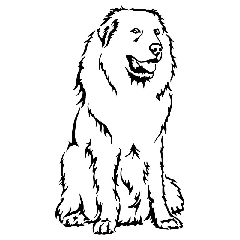 Pyrenäen-Berghund