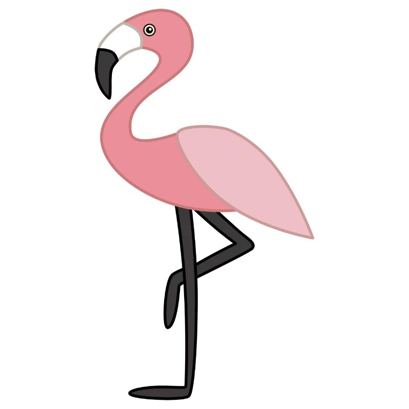 Rosa Flamingo rosa