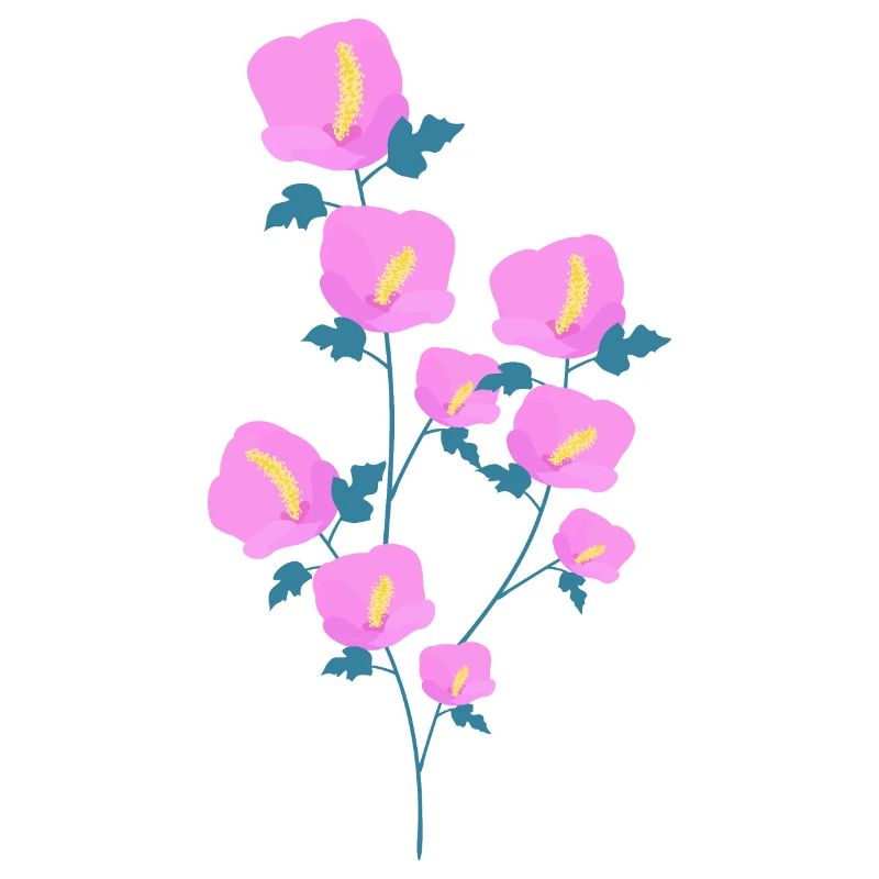 Hibiskusblüten