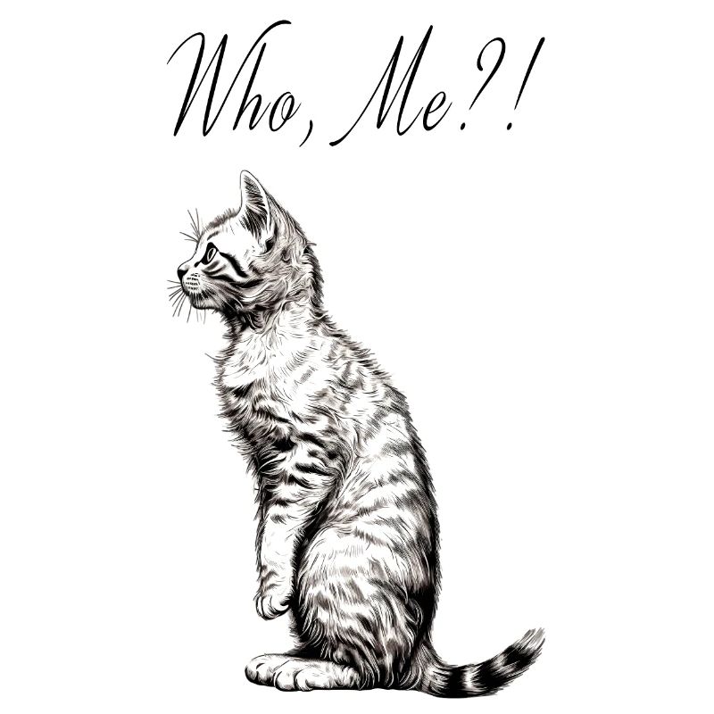 Katze, die mich