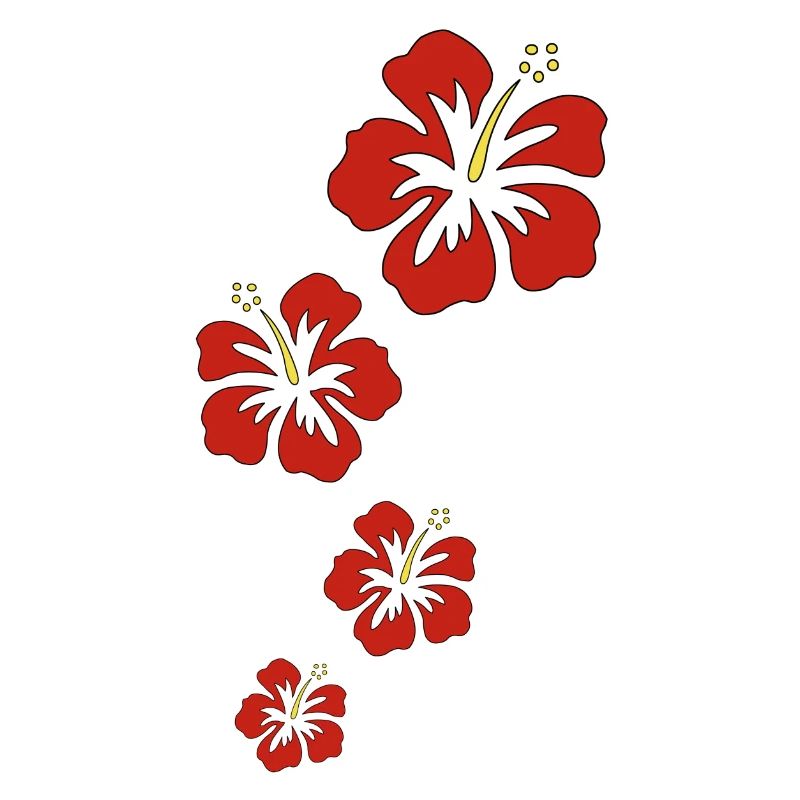 hibiskus