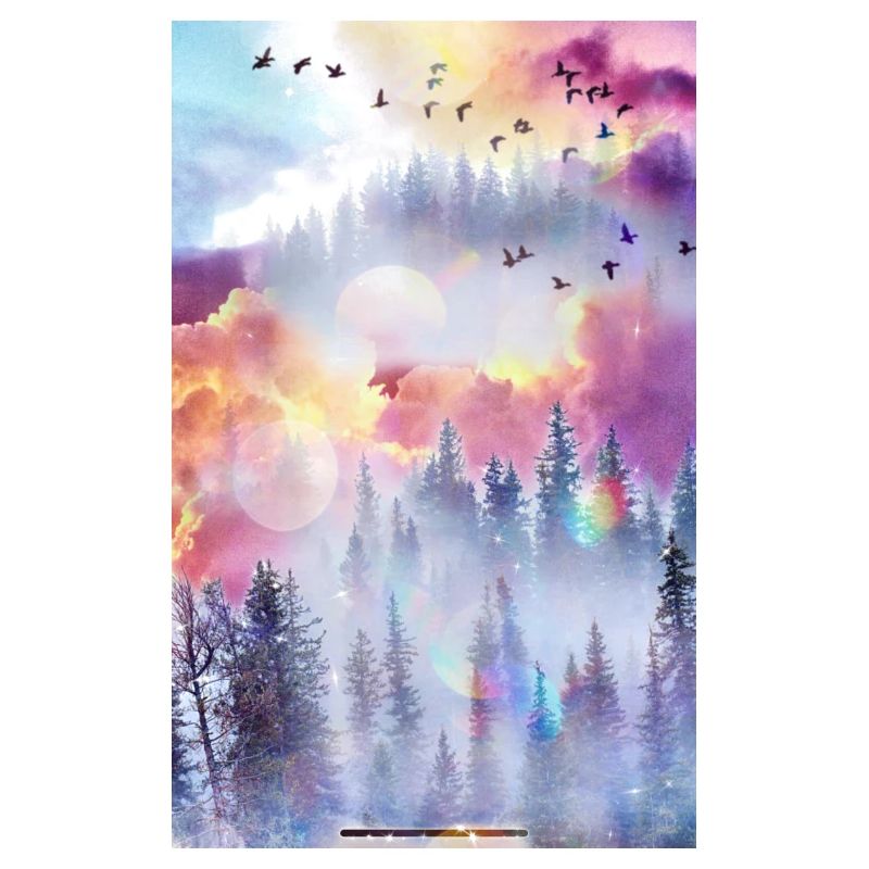 Fantasy Land