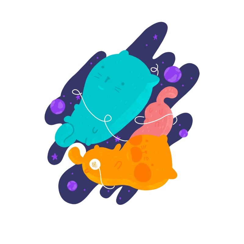 Kitty's universe