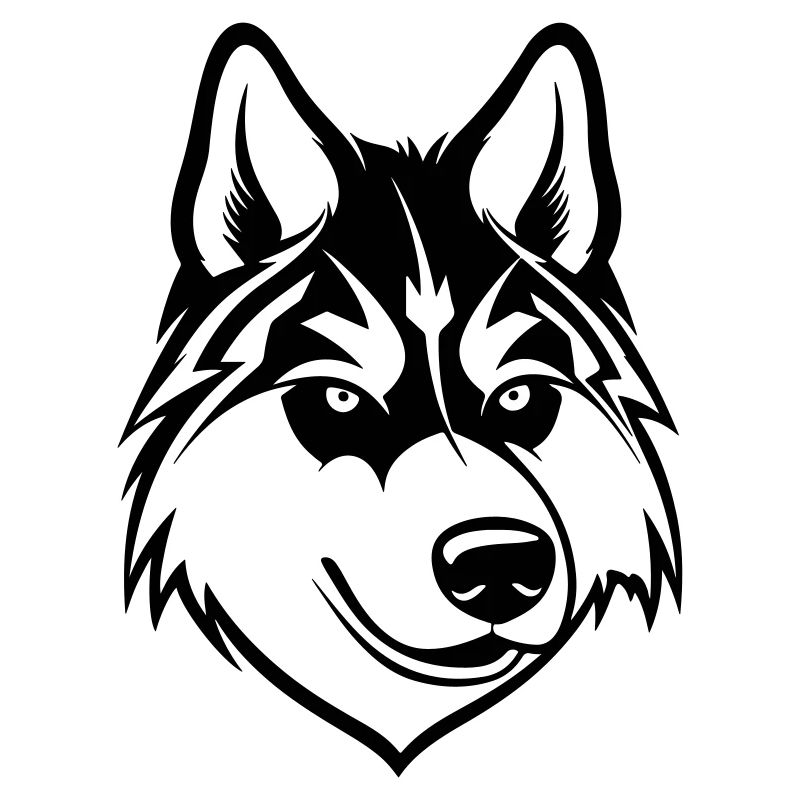 Husky Hund Wolf