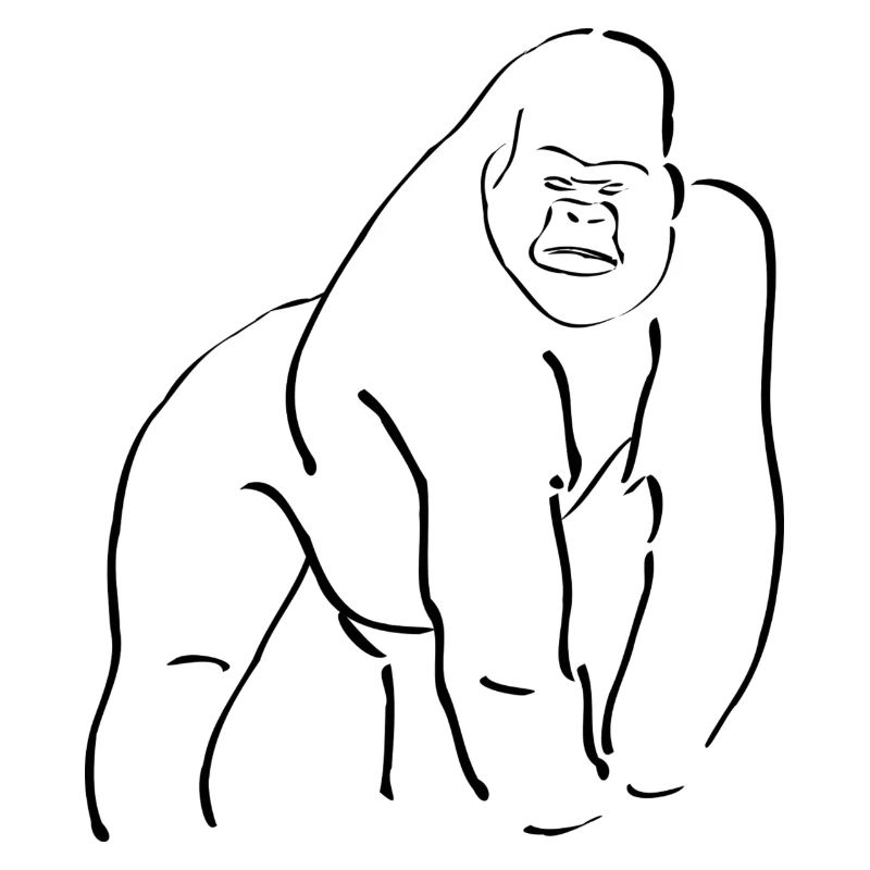 Gorilla
