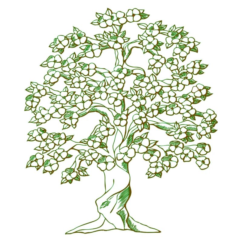 Baum Zeichnung