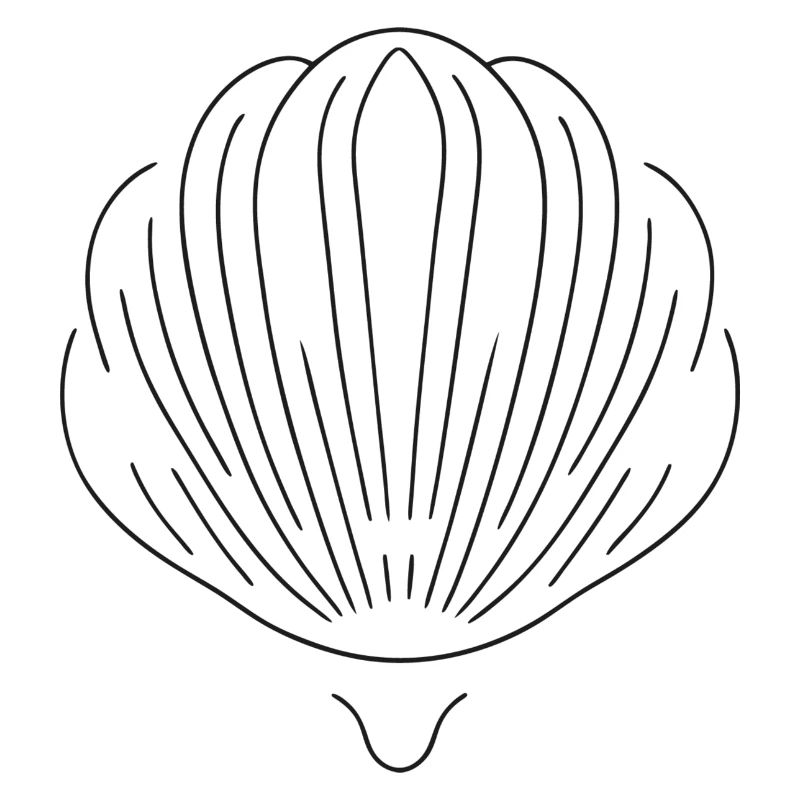 Muschel