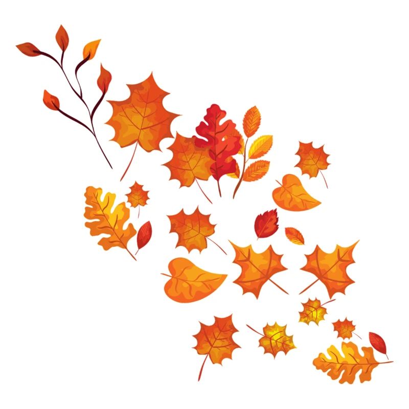 Bunte Herbst Blätter