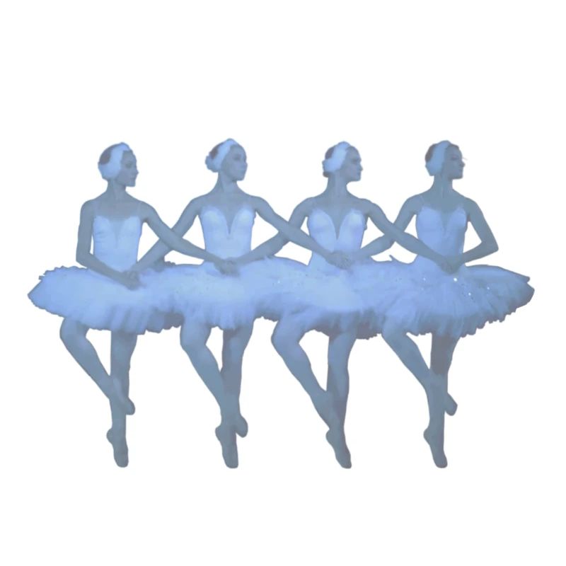 Лебединое озеро