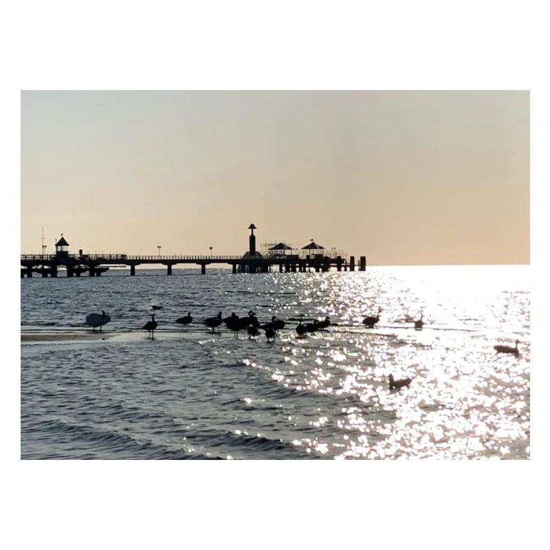 Baltic Sea