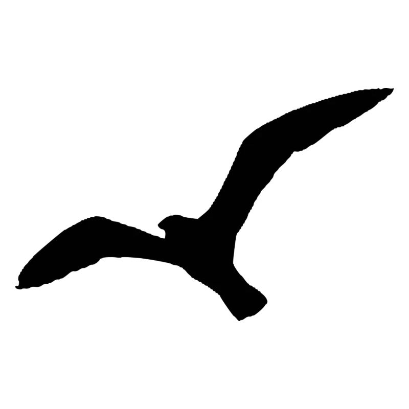 Möwe Norddeutschland