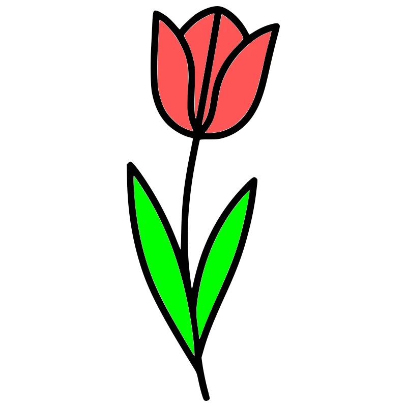 Tulpe Blume Blüte Comic